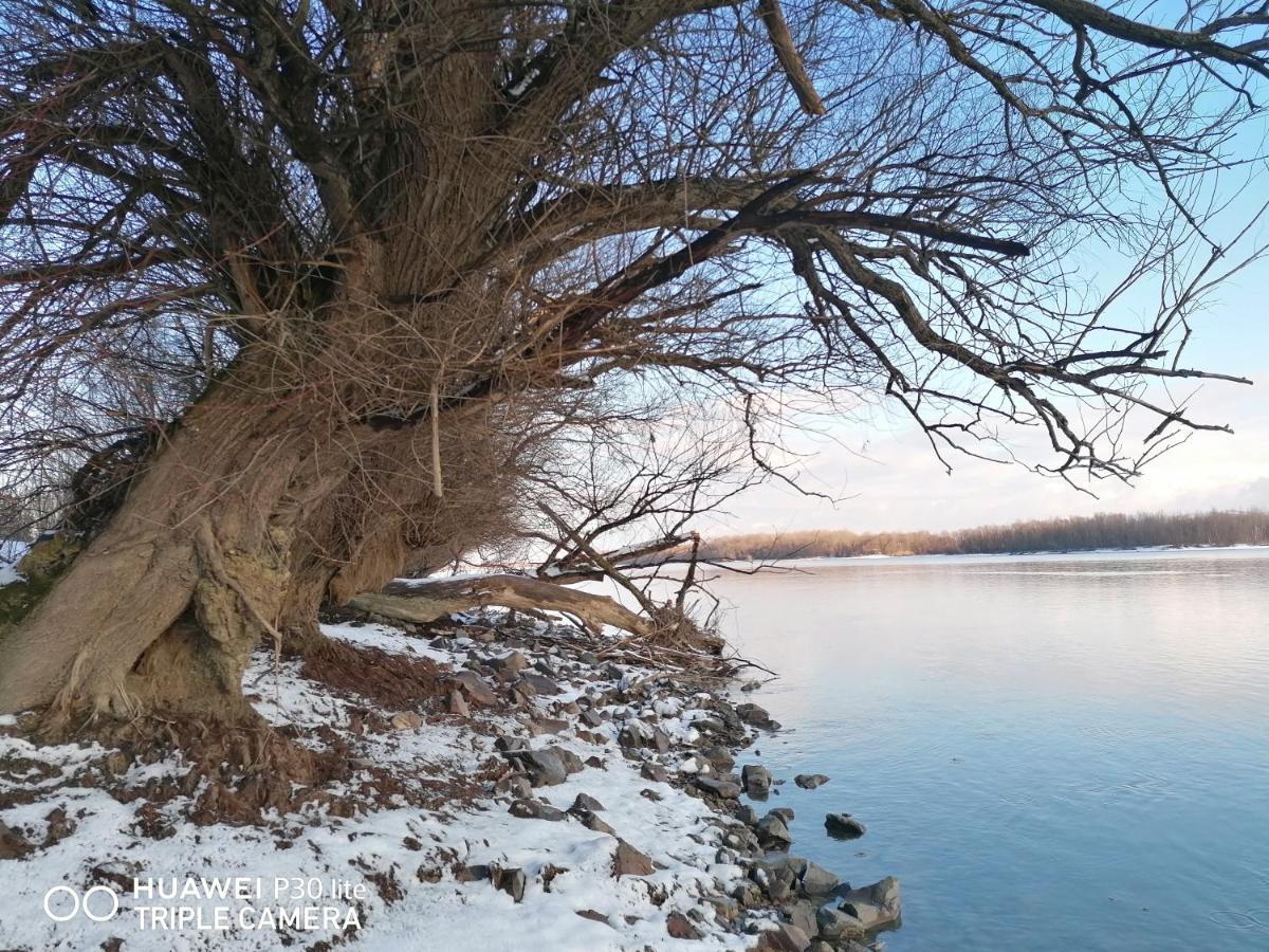 Captain'S House By The Danube River Cerevic Exterior foto